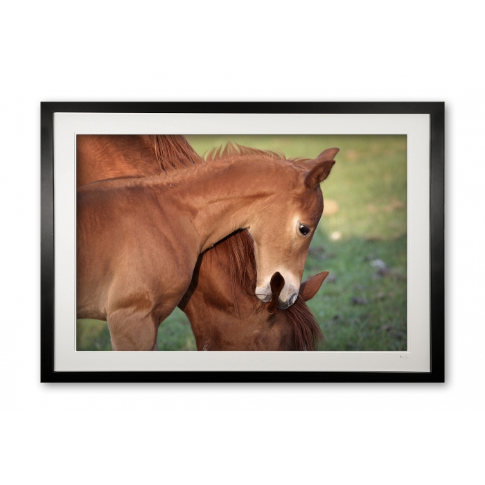 033__horseplay_075x9649_framed