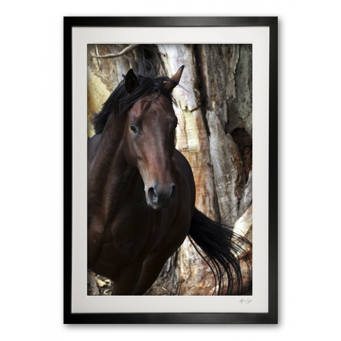 040__guantanamo_img_4335_framed