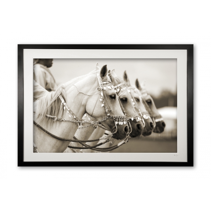 046__majestic_sepia_e56g7160_sepia_framed