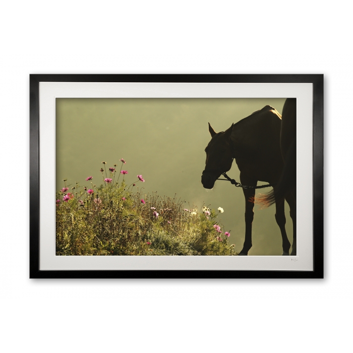 049_a_wildflower_meadow_e56g3946_framed