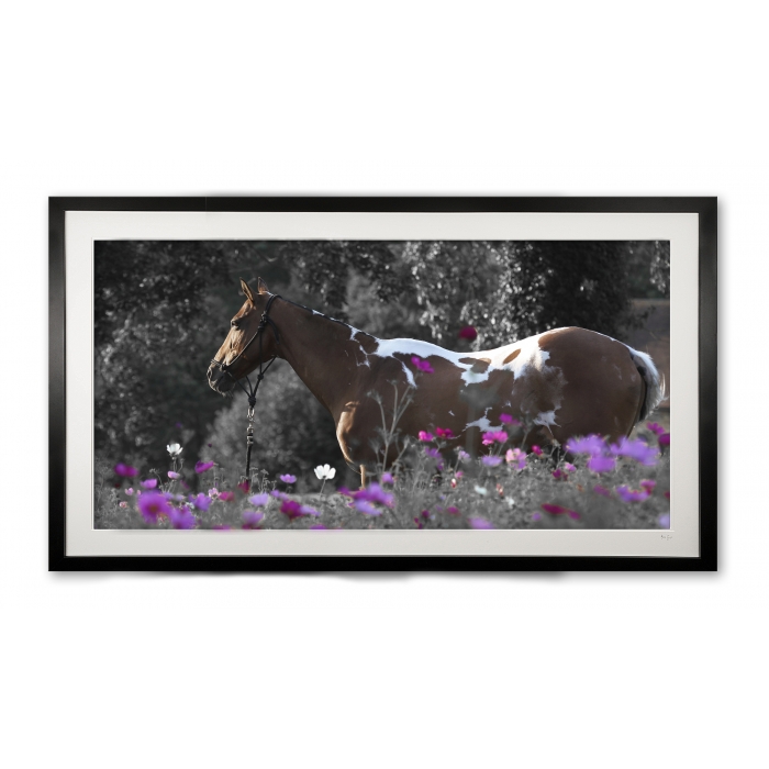 050__piskui_e56g7716_limited_edition_of_100__10_aps_framed