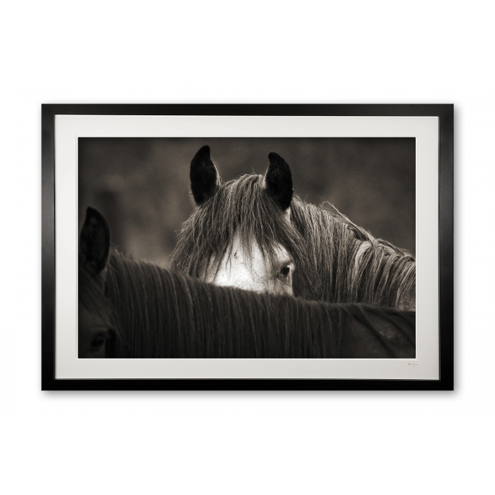 077__peekaboo_e56g0224_framed