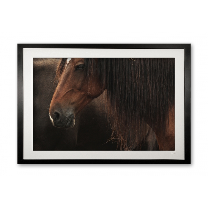 079c__snoozing_e56g0186_framed