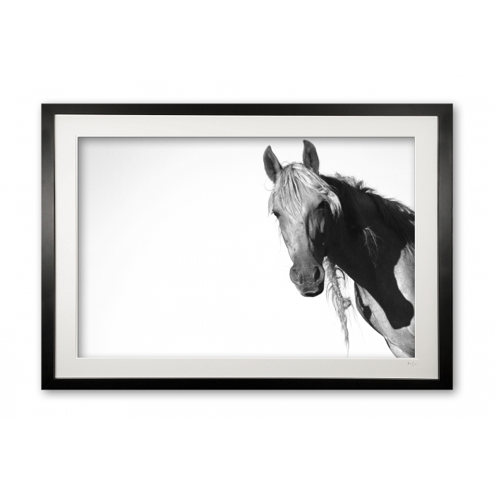 081_a__peruvian_paso_i_e56g0883_1_framed