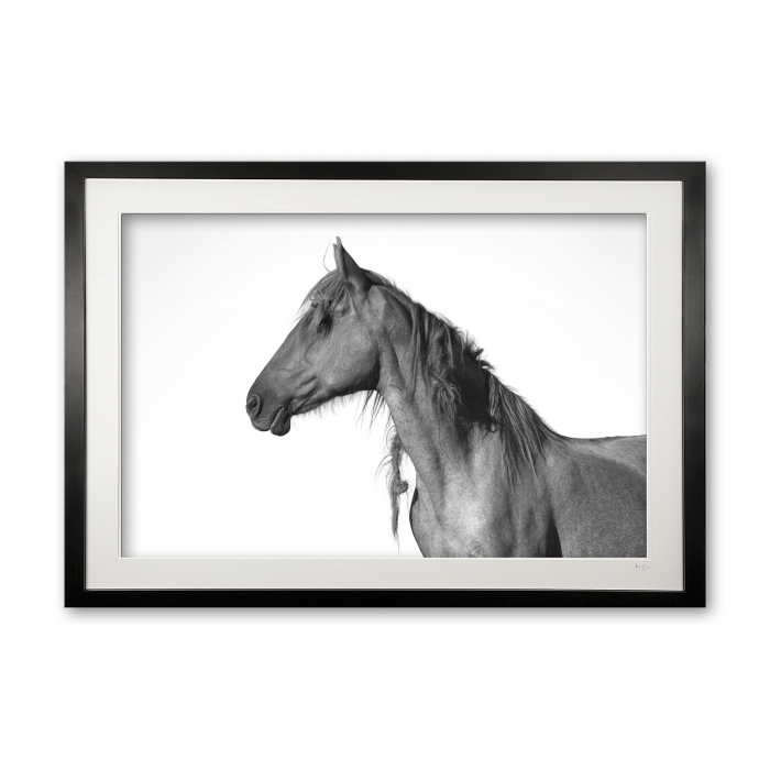 081_b__peruvian_paso_ii_e56g0896_framed