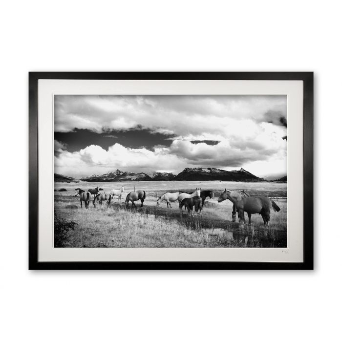 082__criollos_of_calafate_e56g2478_bw_framed