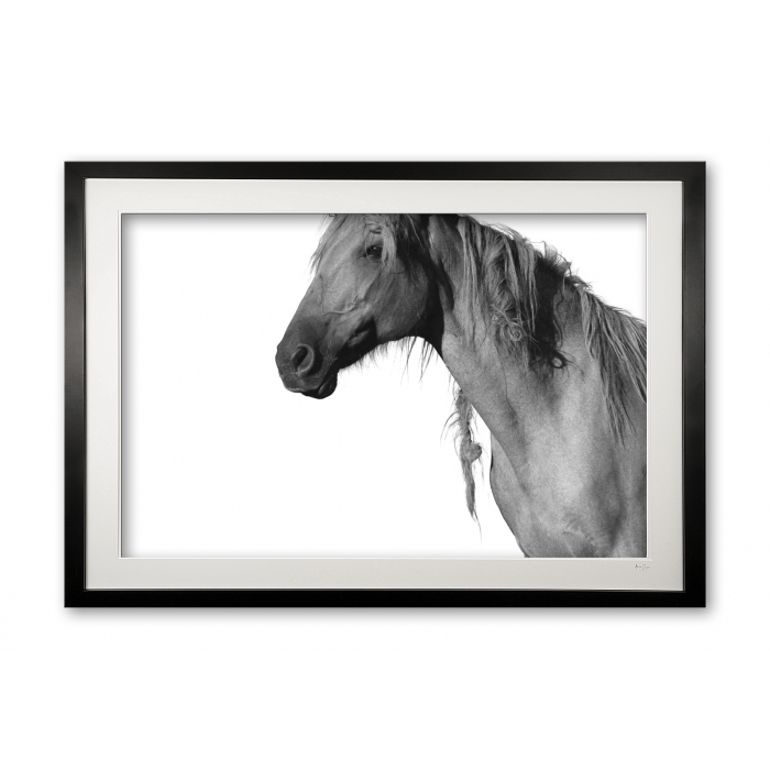 081_c__peruvian_paso_iii_e56g0898_framed