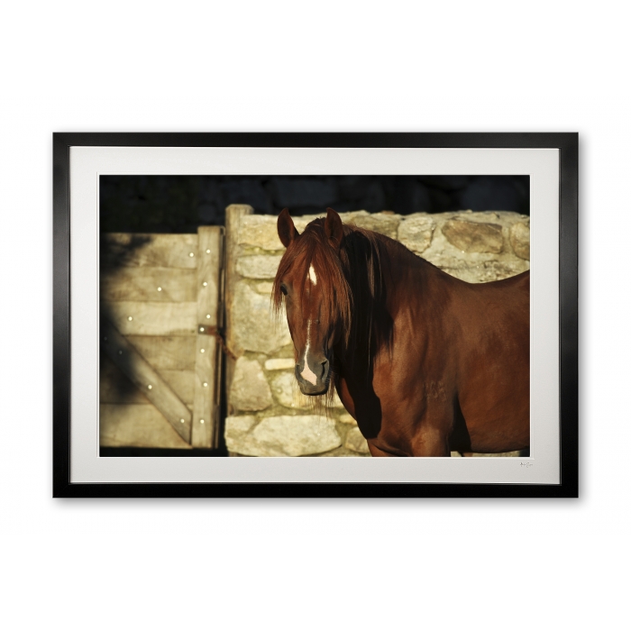 088__supermario_v_e56g9590__framed