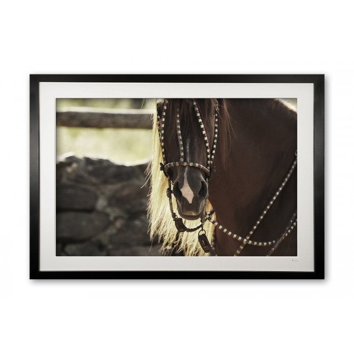 089__supermario_ii_e56g9612_fade_framed