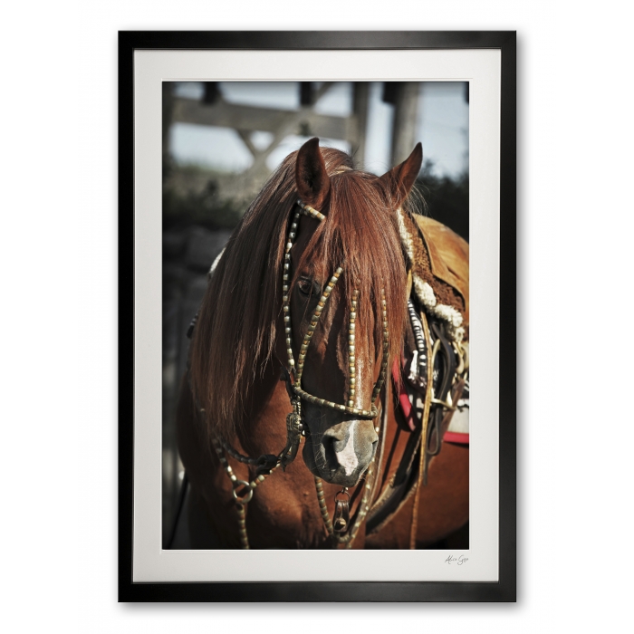 090__supermario_iv_e56g9642_framed