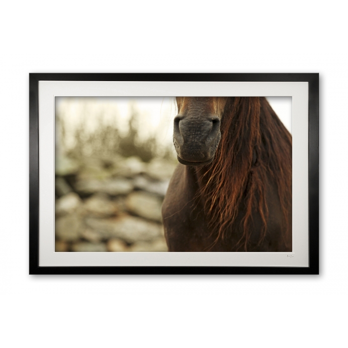 094__tousled_ii_e56g0245__framed
