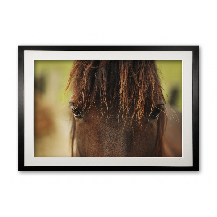 095__tousled_iii_e56g0199_framed