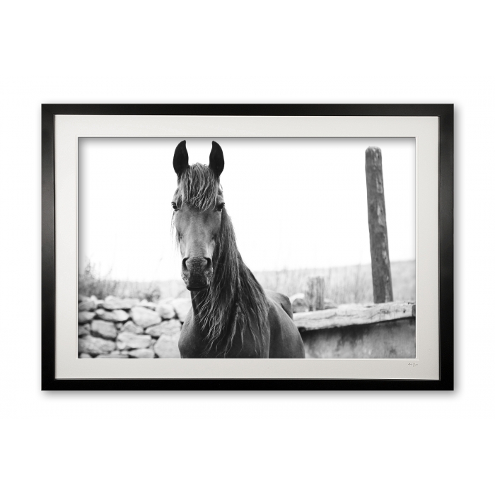 078__tousled_e56g0253_bw_frame