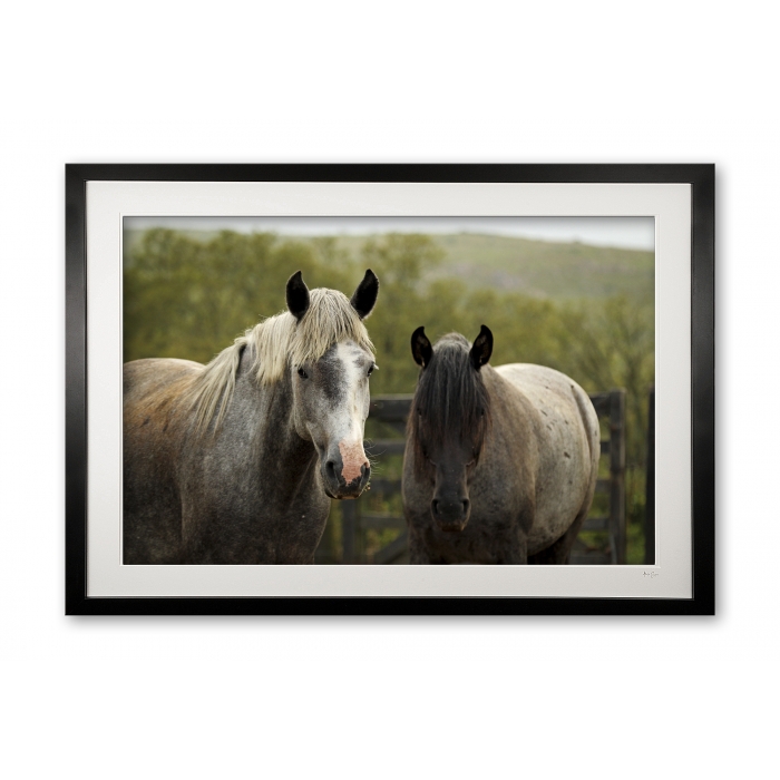 096__cordoba_criollos_e56g0175_framed