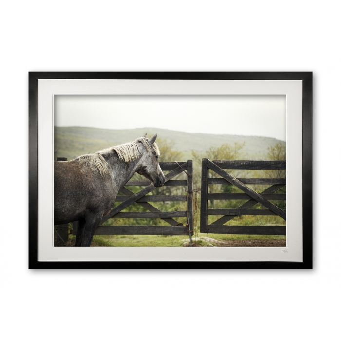 096_c__cordoba_criollos_iii_e56g0173_framed