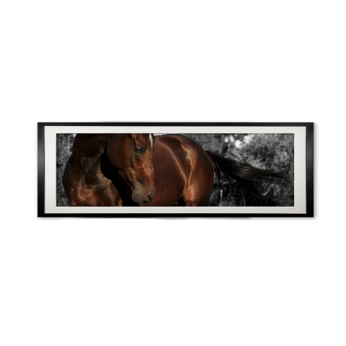 097__cario_e56g9880_-_special_edition_framed