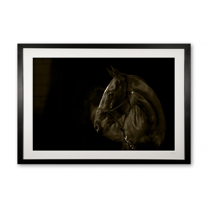 098__phoenix_e56g3532_sepia_framed