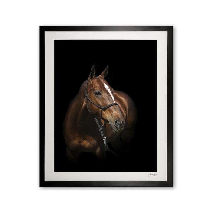 098_b__phoenix_ii_e56g5258_framed