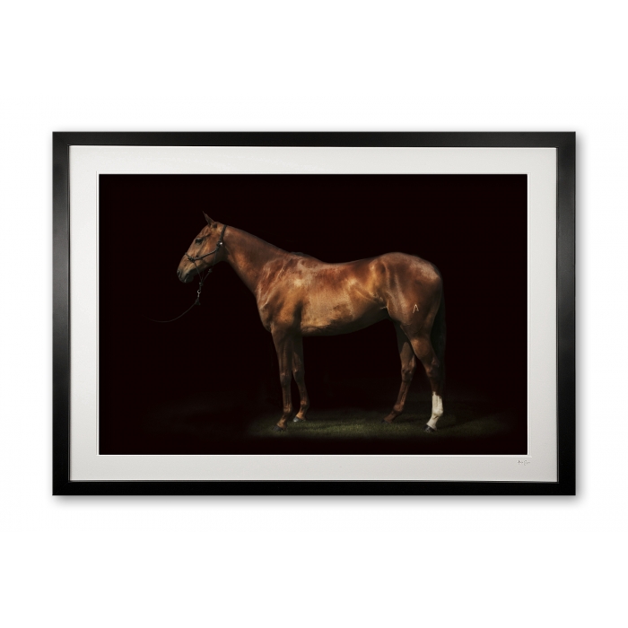 098_c__phoenix_ii_e56g5258