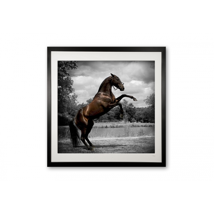 100_don_urgano_rolinga_e56g9176_special_edition_framed