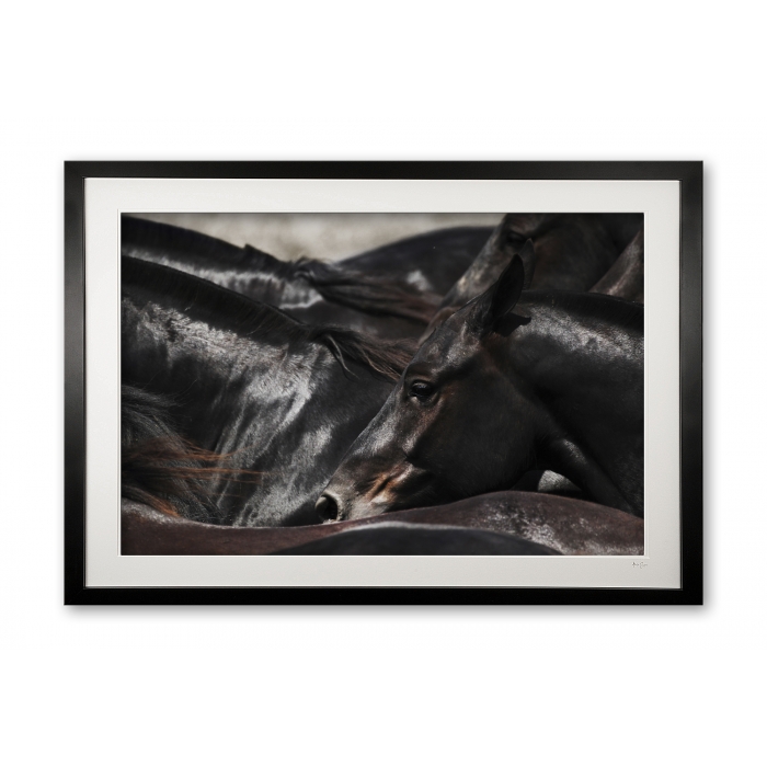 139__madeira_e56g2204_framed