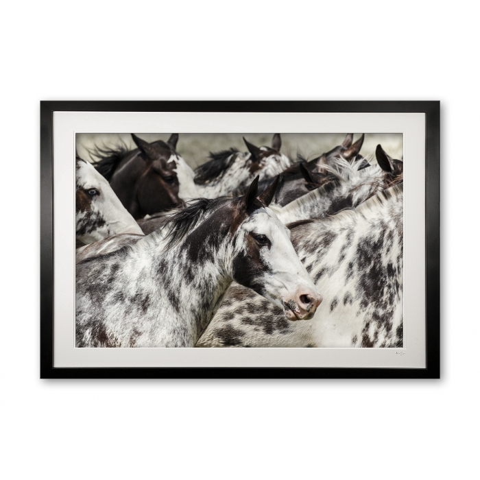 140__los_overos_e56g2227_special_edition_of_25_framed