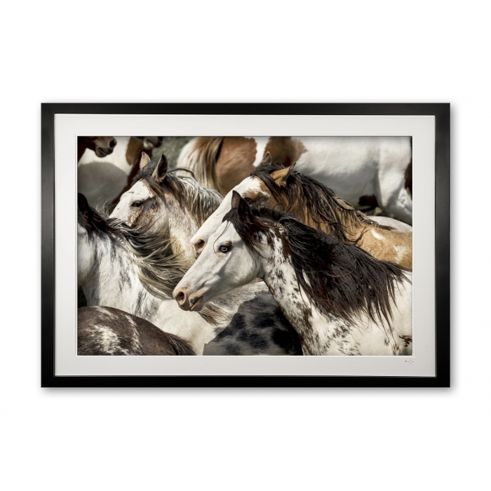 141__paint_ponies_e56g2008_framed