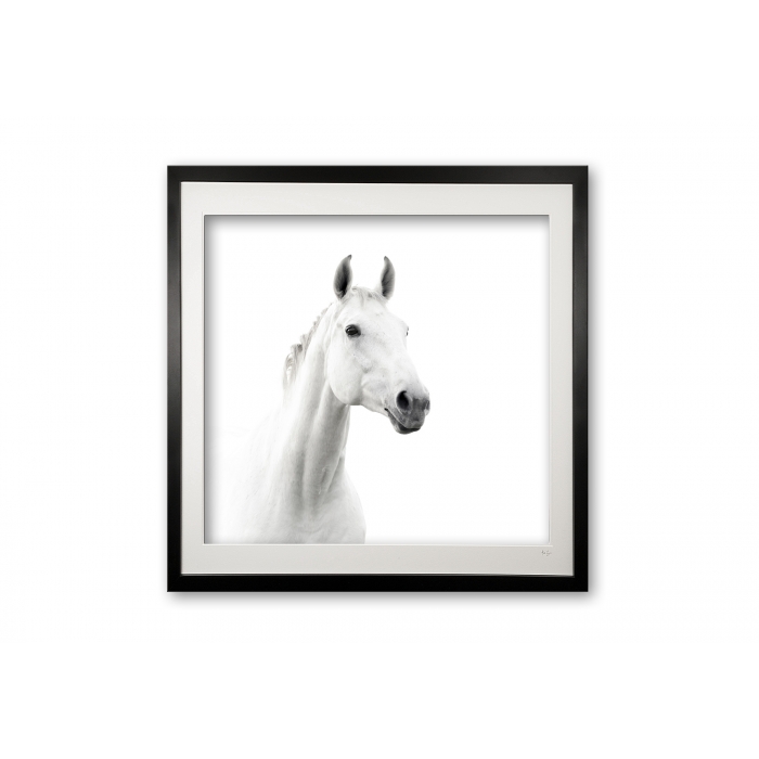 145__caspar_bw_framed