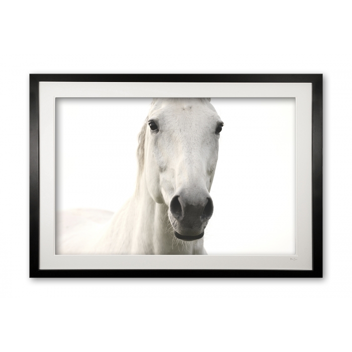 145_b__caspar_ii_0e5a9860_1_framed