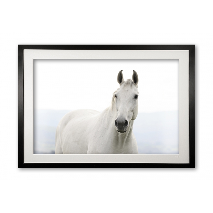 145_c__caspar_iii_0e5a9905_framed