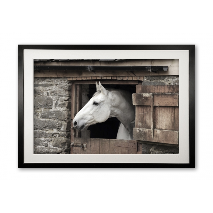 145_d__caspar_iv_0e5a9494_fade_framed