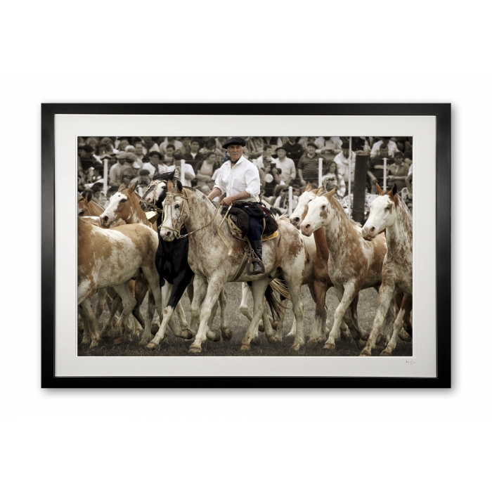 102_b__pintados_ii_e56g6456_framed