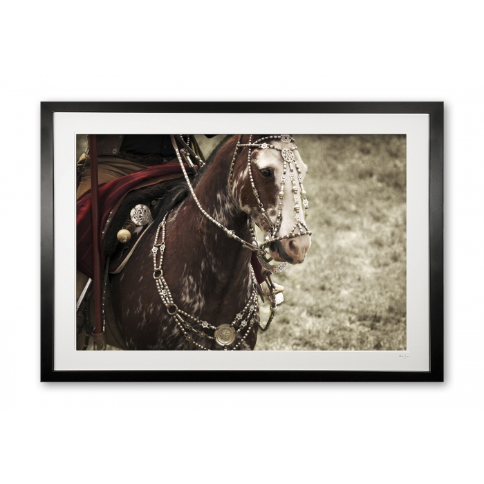 105__silver_tack_e56g6804_framed
