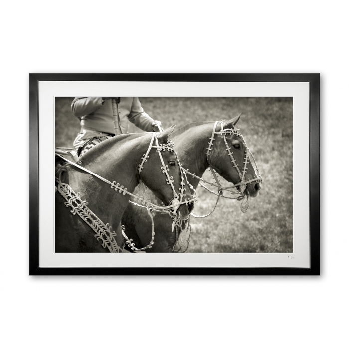107__rawhide_bridles_e56g6890_framed