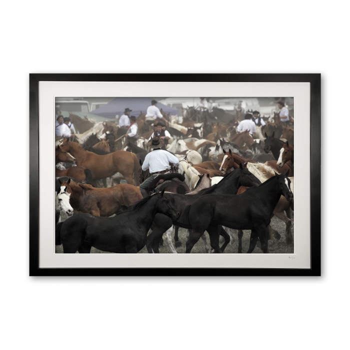 110_d__tropillas_reuniting_e56g2422_framed