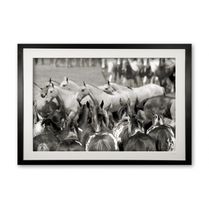 110_e___tropillas_reuniting_ii_e56g2232_bw1_framed