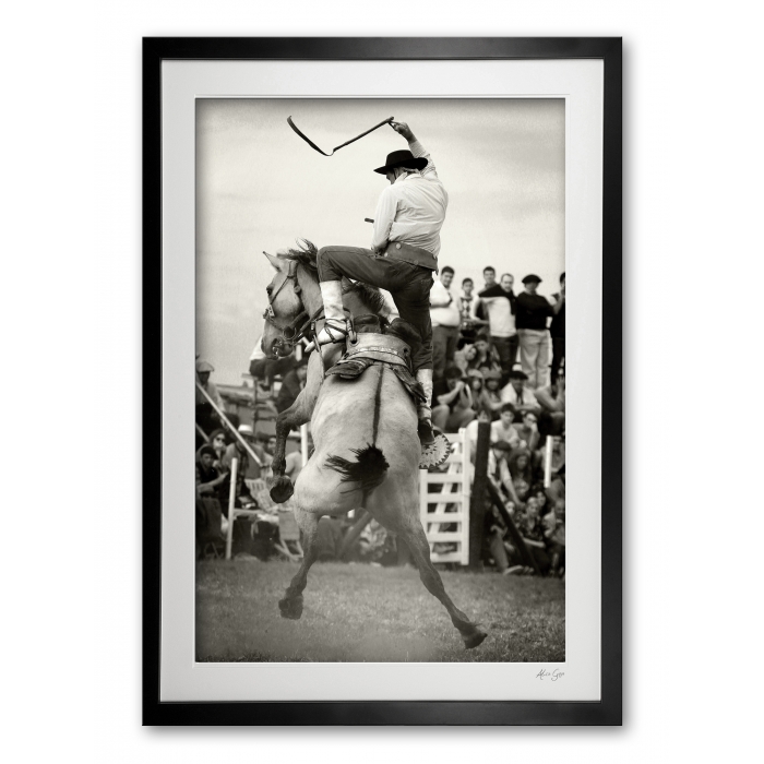 113_d__high_flyer_e56g7859_limited_edition_of_50__5_aps_framed