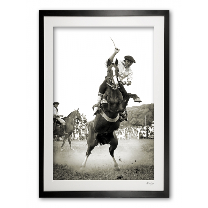 113_e__leap_of_faith_e56g8131_whip_framed