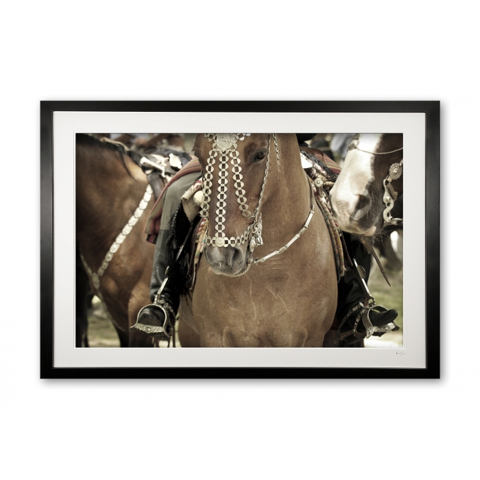 117_b__festival_finery_ii_e56g9245_fade_framed