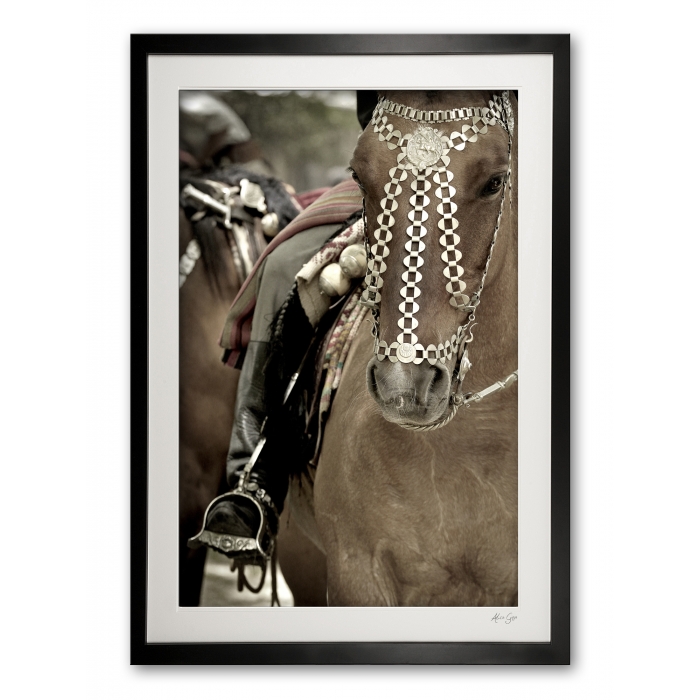 117_c__festival_finery_iii_e56g9246_fade_framed