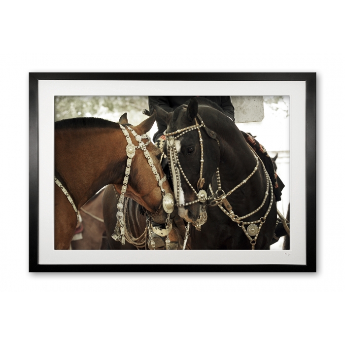 123__areco_festival_iv_e56g9253_framed