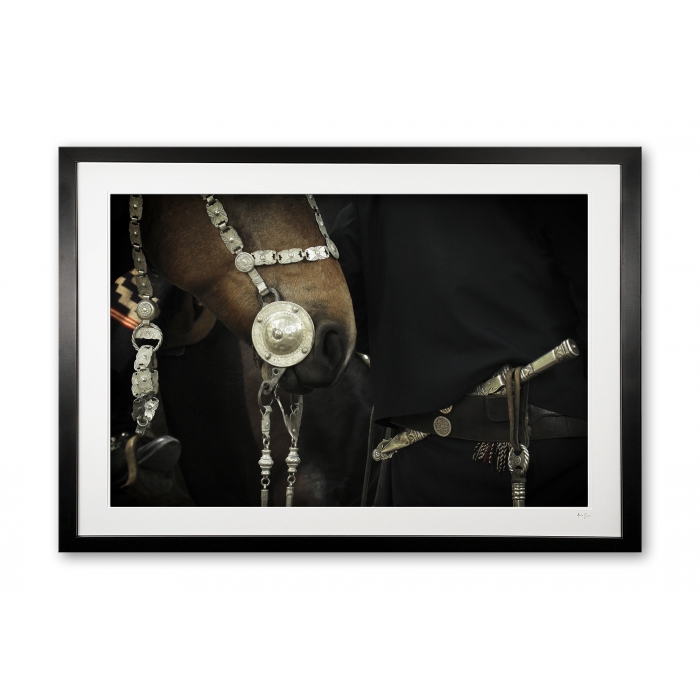 127_b__silver_facon_i_e56g9280_framed