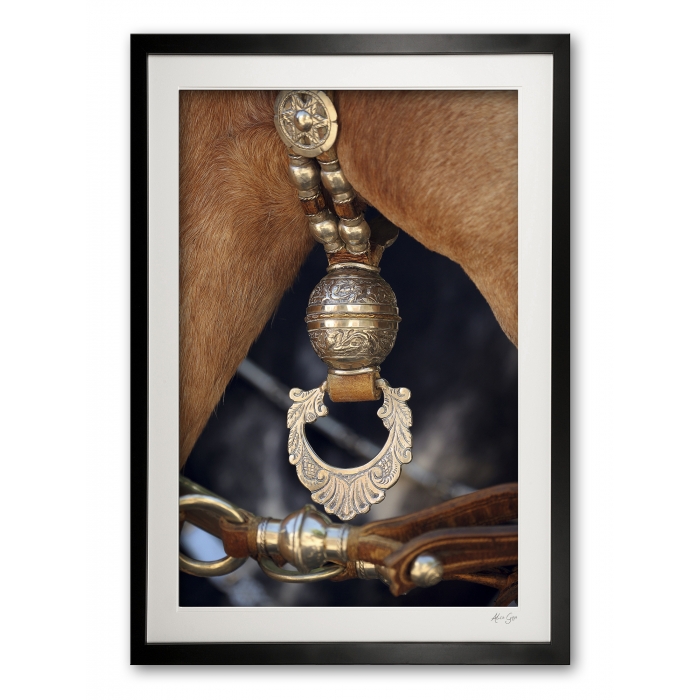 127_c__silver_fiador_e56g3614_framed