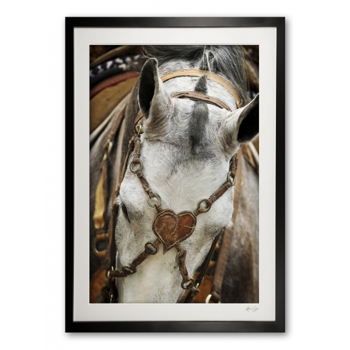 128__rawhide_bridle_heart_detail_i_e56g9463_framed
