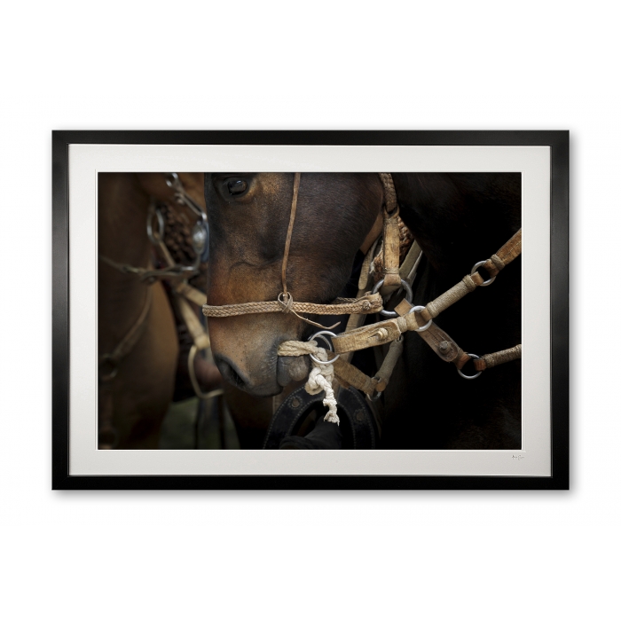130__bocado_bridle_i_e56g9498_framed