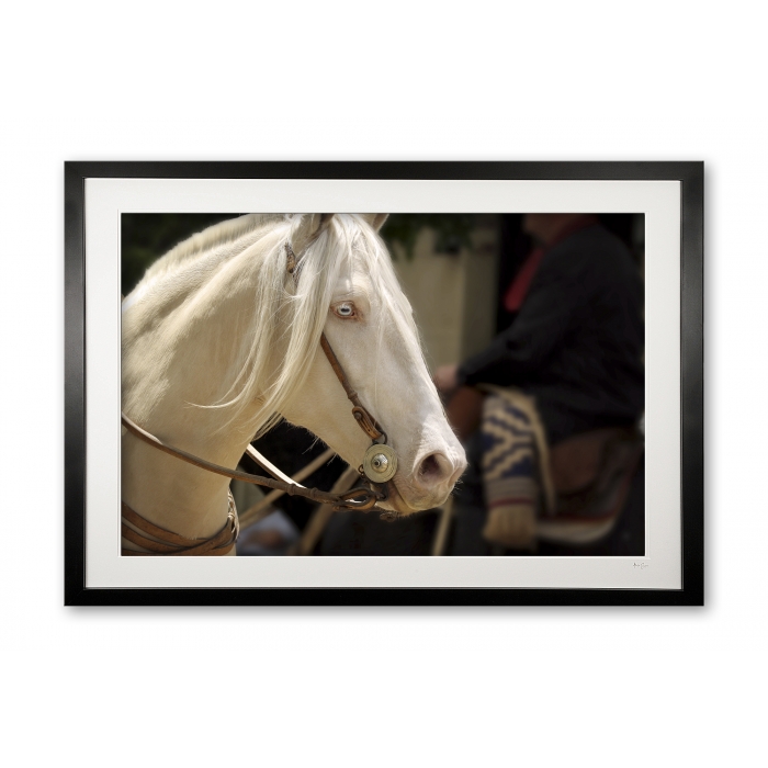 131__areco_albino_e56g9934_framed