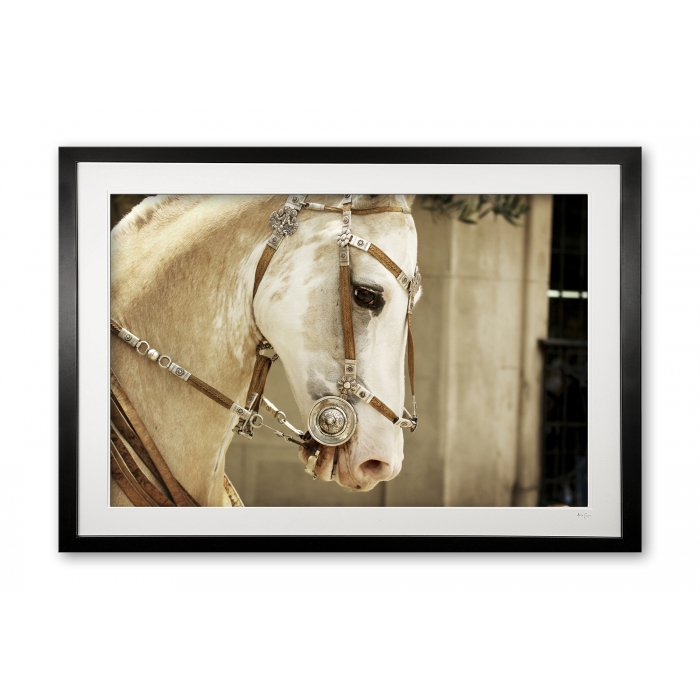 132_a__pretty_palamino_i_e56g9765_framed