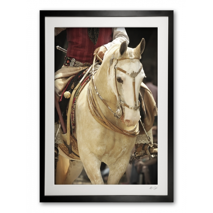 132_d__pretty_palamino_iv_e56g9755_framed