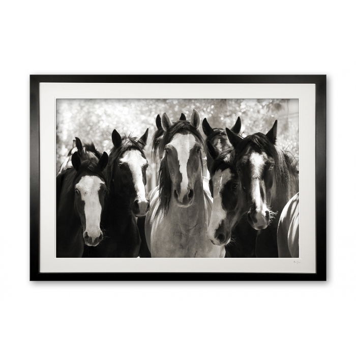 133_d__criollo_crew_e56g3885_bw_framed