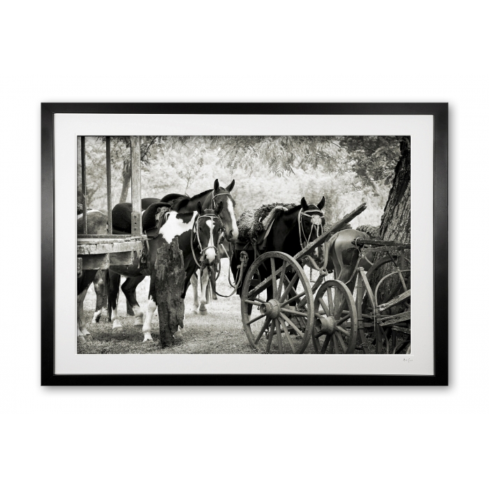 134_b___rustic_ponylines_e56g0242_sepia_framed